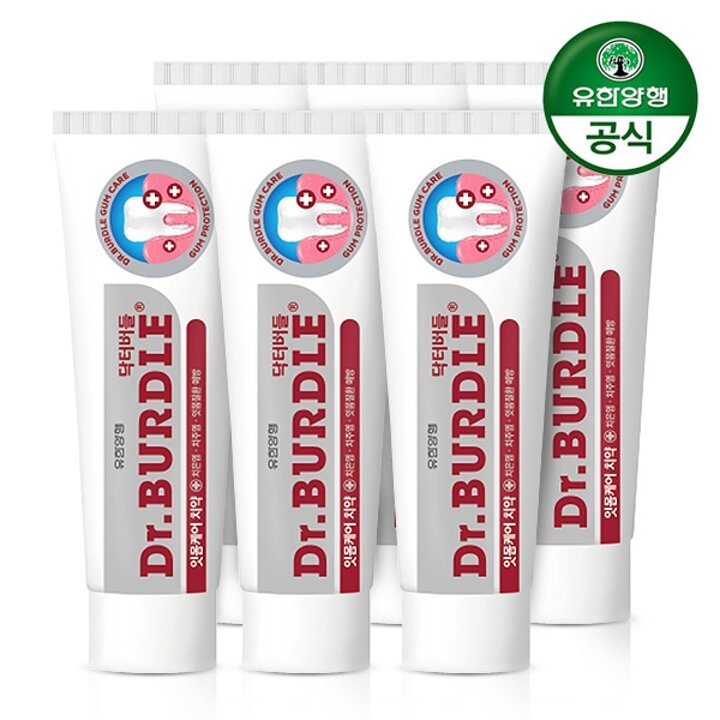 [유한양행] 닥터버들 잇몸케어 치약 100g x 6개