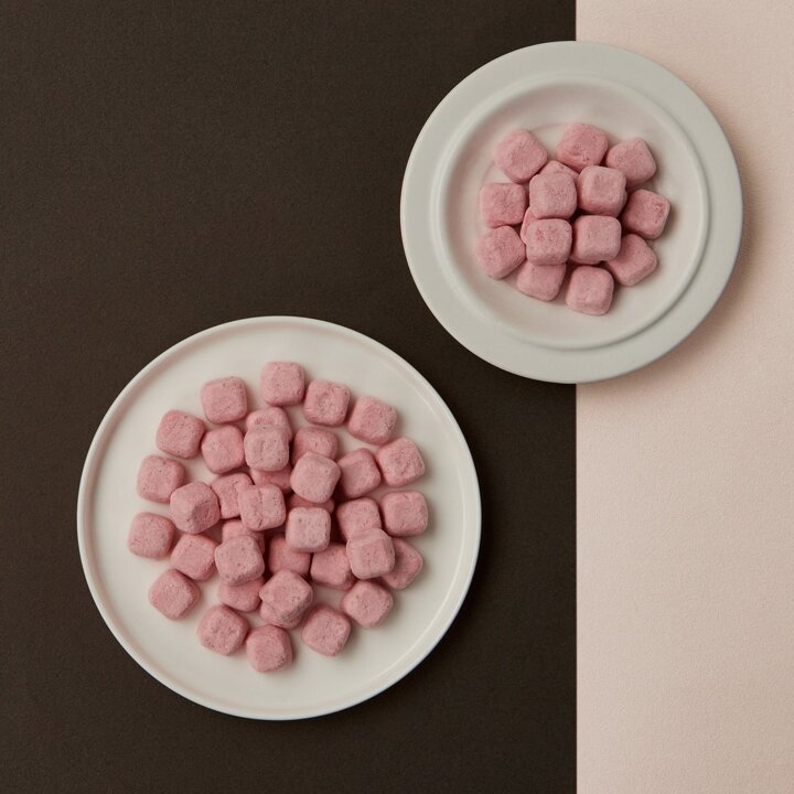 (하우스오브신세계 청담)웰니스 프로팝스 딸기(16g)