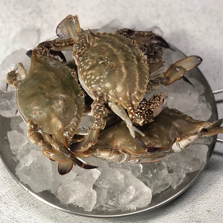 [산지직송] 국내산 제철 활 암꽃게 1kg 3-5미