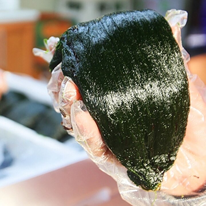 바다내음 가득한 청정완도 햇 매생이 350g x 3재기