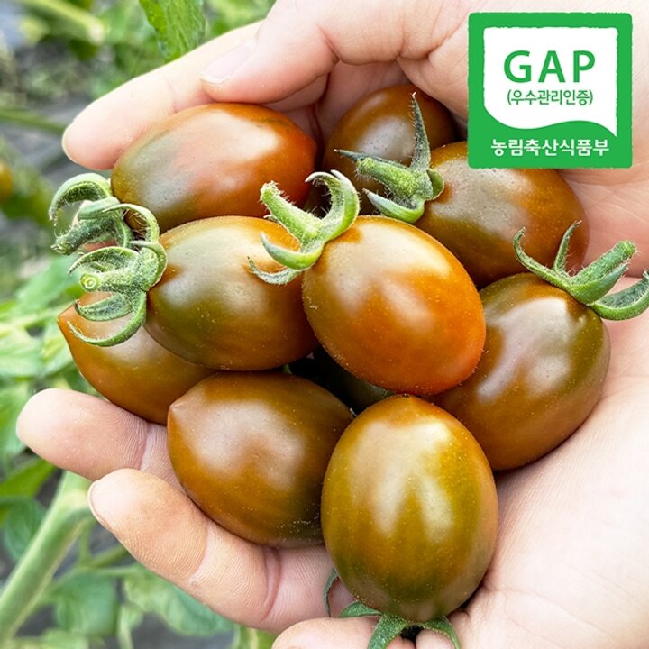 [웰굿][GAP인증] 당일수확 경남직송 흑 대추방울토마토 1kg