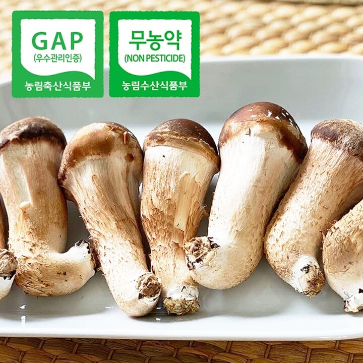[웰굿][무농약] GAP인증 산지직송 국내산 참송이버섯 500g(실속,소)