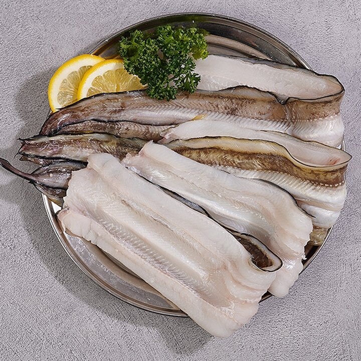 G1987 바다장어 손질후중량 600g