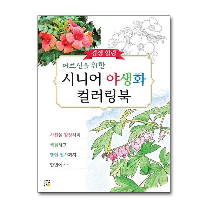 시니어 야생화 컬러링북 - 어르신을 위한 감성 힐링