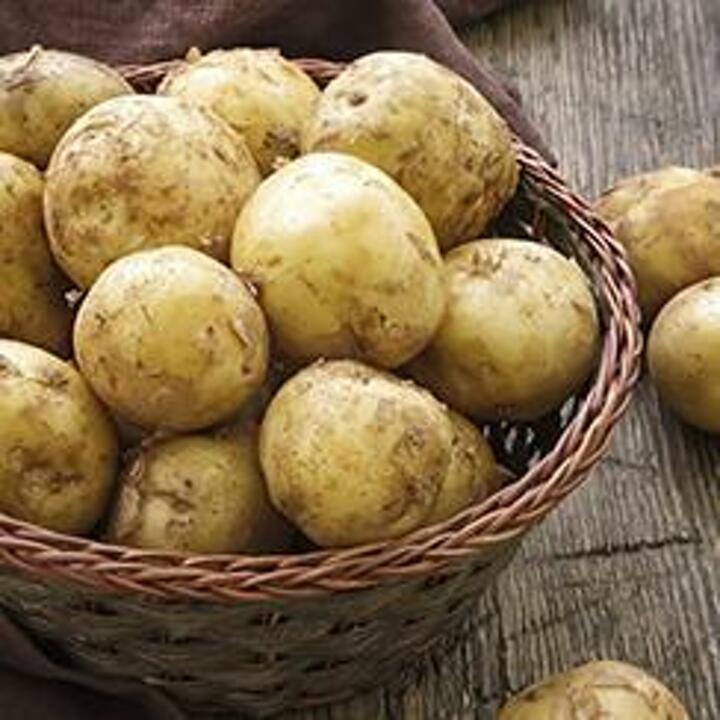 국내산 포슬포슬 햇 수미감자 5kg 대(90-130g 내외)