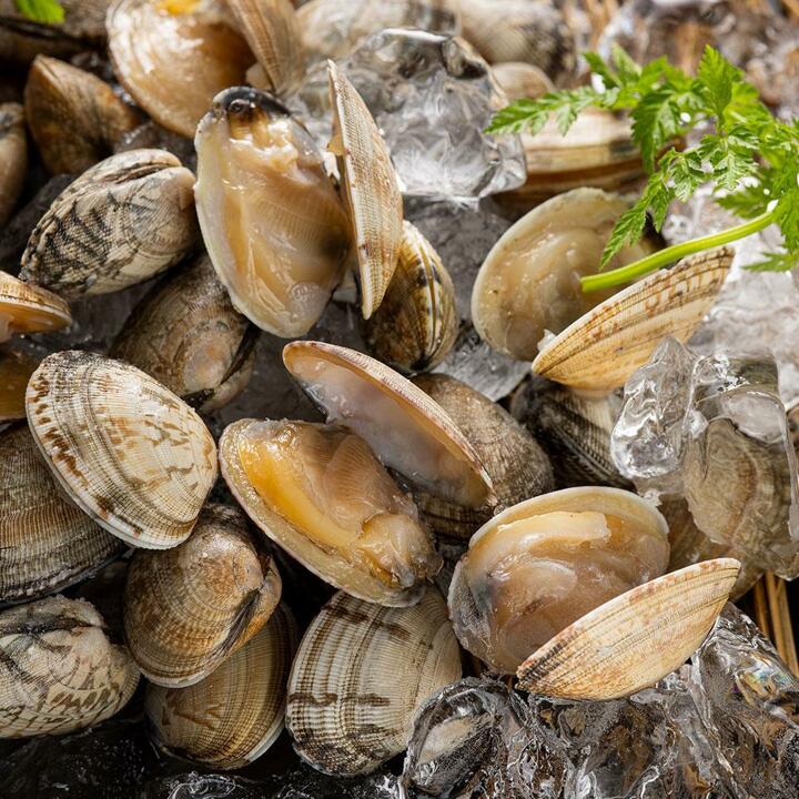 냉동 바지락 500g x 4팩 (손질 해감 세척 완료) 