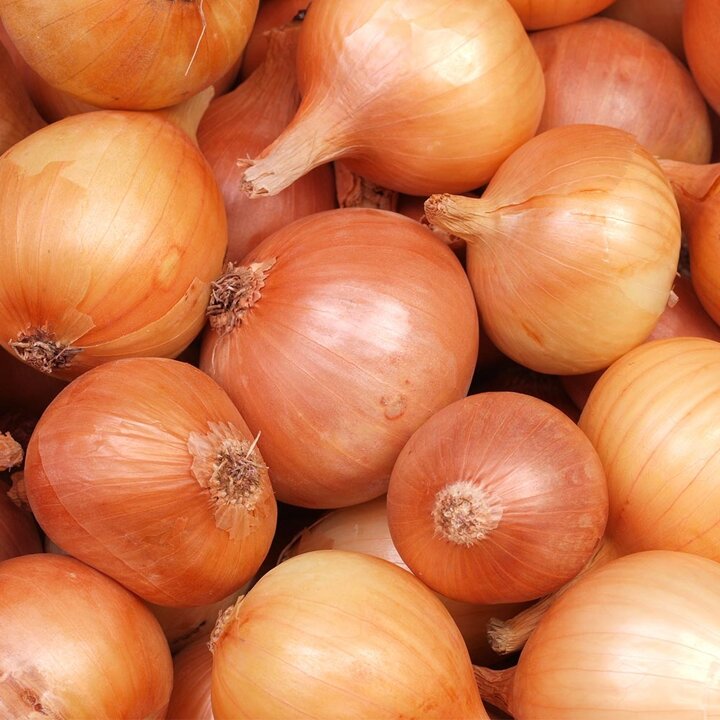 국내산 특상품 햇 양파 5kg(대)