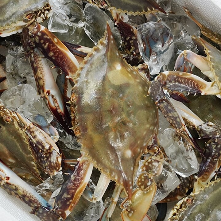 [통영수산물시장] 연평도 숫꽃게(급냉) 3kg 12-15미내외