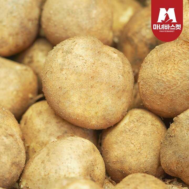 [마녀바스켓] 산지직송 포슬포슬 햇감자 수미감자 특 5kg (130-180g 내외)