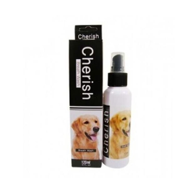 구강청정제 120ml 강아지 체리쉬 애견미용