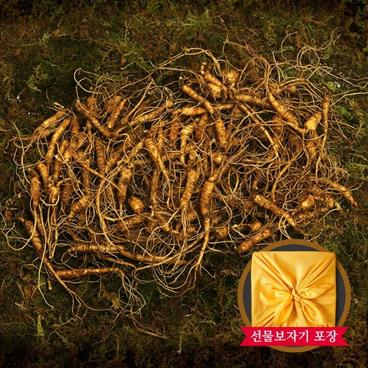 [자연삼가] 강원도 토종 산양삼 실속형 100g(5-6년근 60-90뿌리)