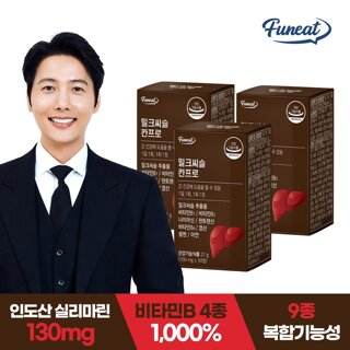 퍼니트 활력비타민 간건강 밀크씨슬 칸프로 3개월분