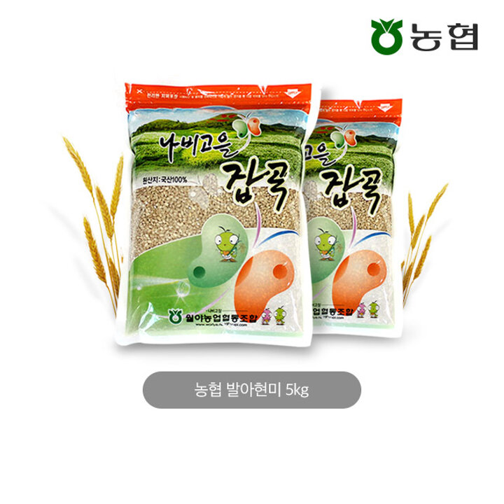 농협 발아현미 5kg