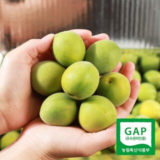 [6/3 순차출고] 광양매화골매실 청매실 上품 5kg(청매실 엑기스용)
