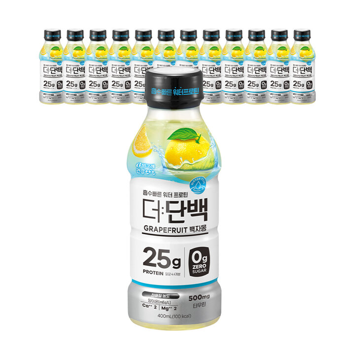 빙그레 더단백 워터프로틴 PET 백자몽 400ml 12입