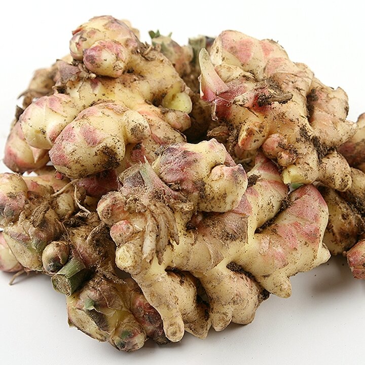흙생강 알뜰 3kg