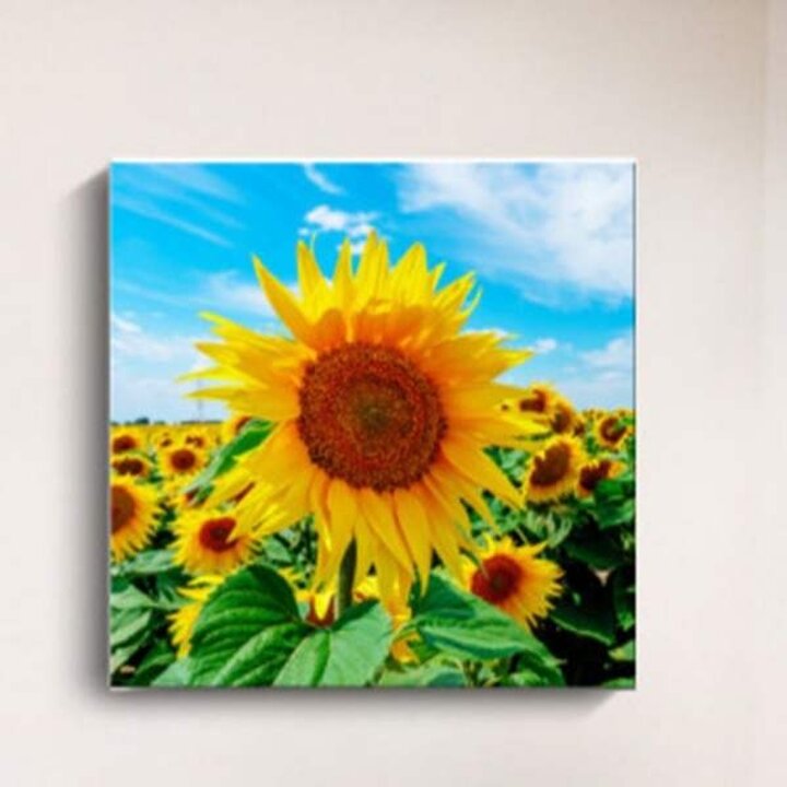 해바라기 그림 인테리어 해바라기 액자