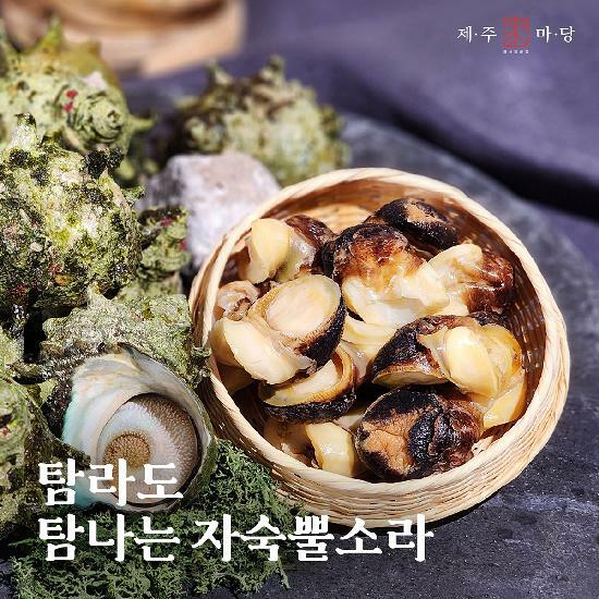 제주가마당 제주뿔소라살 100g x 5팩
