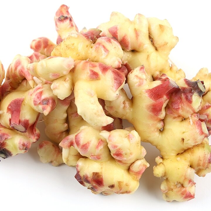세척생강 5kg