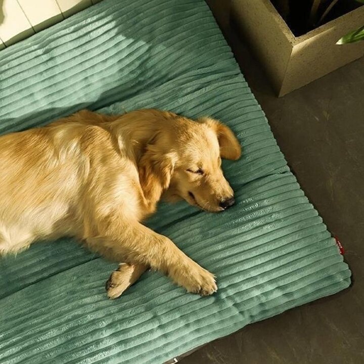 강아지쿠션고양이침대대형견방석XL