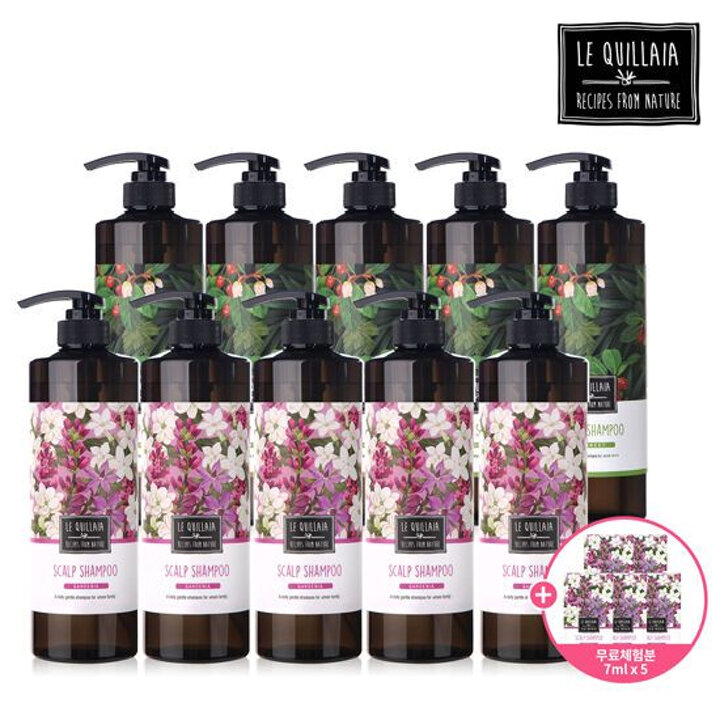 르퀼라야 스칼프 샴푸 대용량 810ml * 10통 + 체험분 7ml 5매