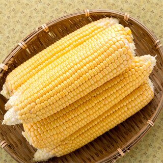 초당옥수수 특품 13-15cm 10개입