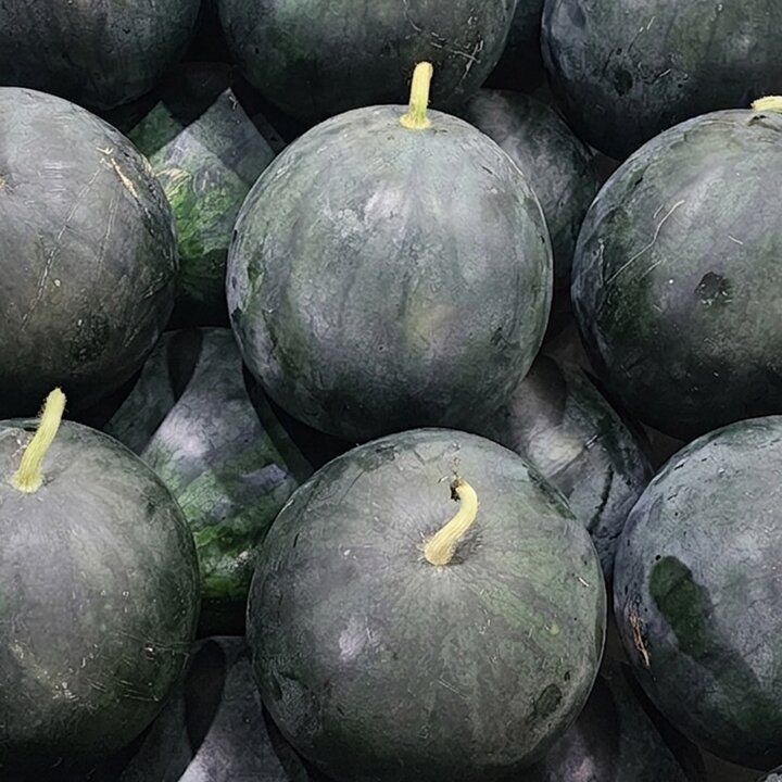 프리미엄 고당도 국내산 흑수박 4kg 이상
