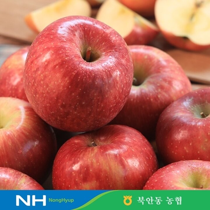 북안동 농협 부사 사과 정품(특상) 2kg(6과내외/당도선별/실중량)