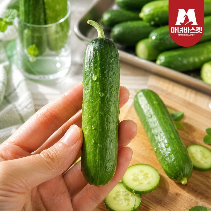 [마녀바스켓] 수분가득 국내산 프리미엄 미니오이 1kg (8-12개 내외)