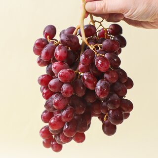 [후레쉬데이] 아삭달콤 적크런치팝 포도 x 3봉 (3kg)