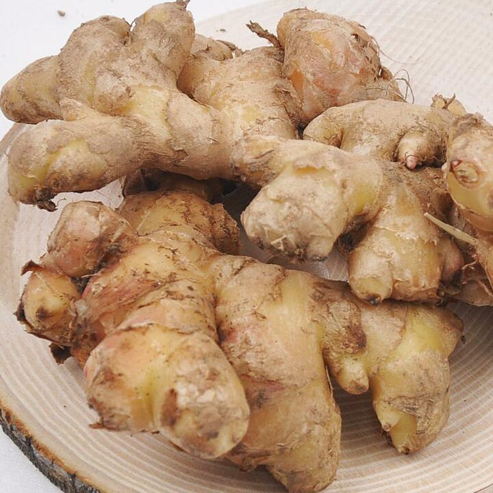 충남 서산 전영운님의 햇 토종생강 1kg