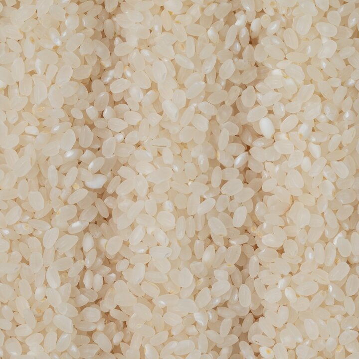 (신세계 사우스시티)[2025년산]  이천쌀 상등급 (알찬미) 10kg