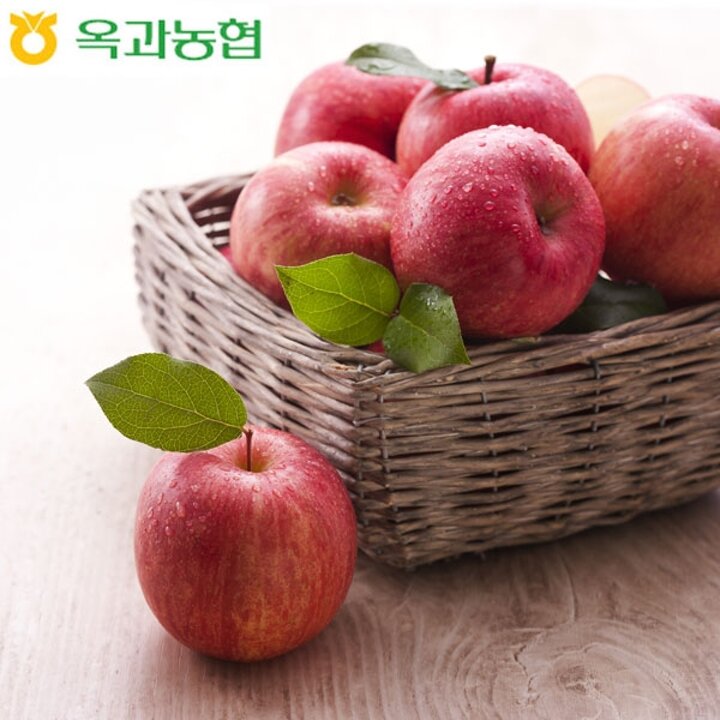 농협 정품 세척사과 5kg (18-22과,중과)