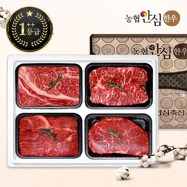 [G][농협안심한우]한우선물세트 구이정육2호 1++등급 1.6kg (등/채/국/불)