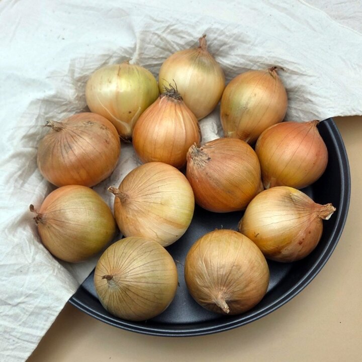 26년 무안 햇양파 요리용 중 3kg