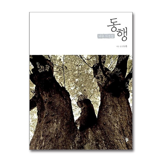 동행 - 나무 사진집