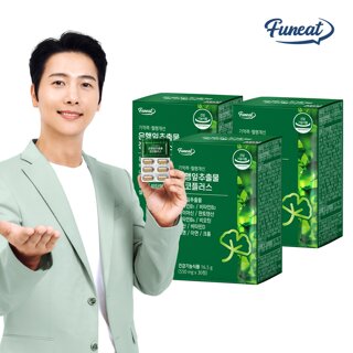 퍼니트 기억력개선 은행잎추출물 징코플러스 3박스