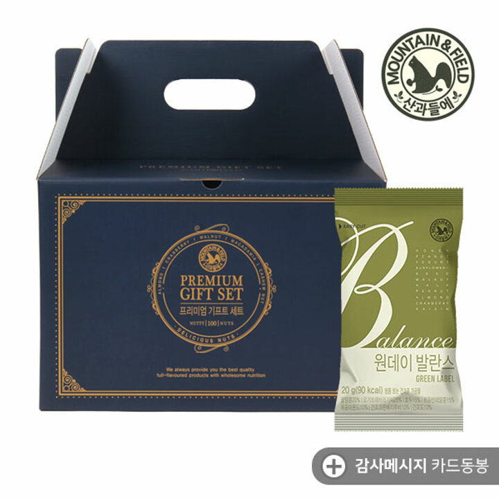[산과들에] 하루견과 원데이 발란스그린 100봉 선물세트