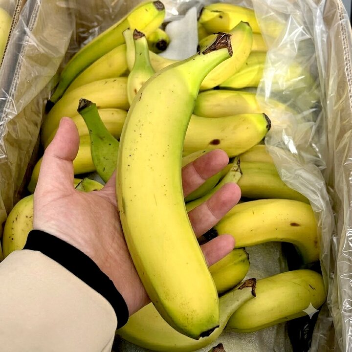 핑거바나나 3kg