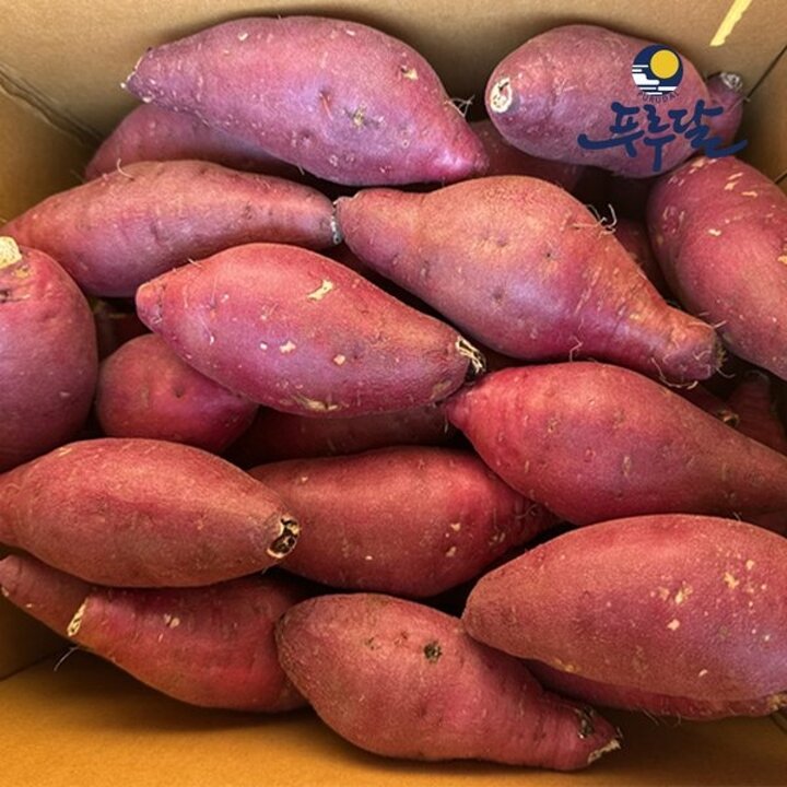 충남 당진 준모농원의 프리미엄 단밤고구마 로얄과(중상) 사이즈 5kg (개당 100-250g)