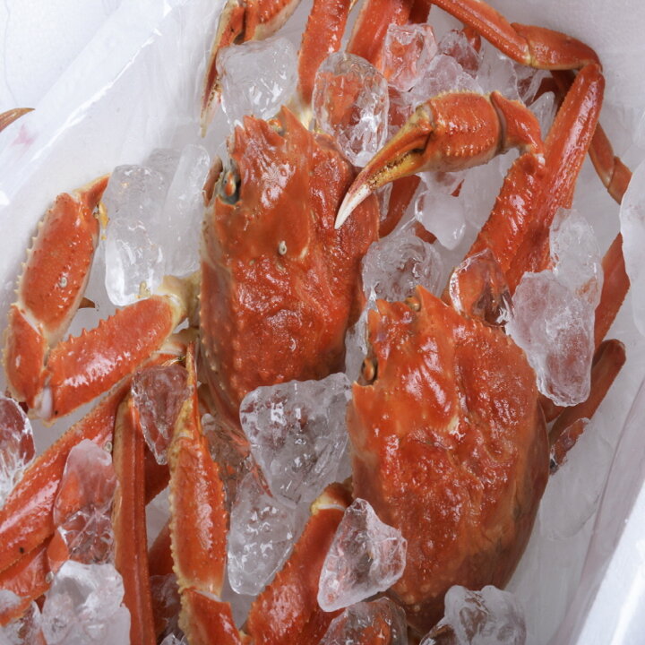 특A급 러시아 자숙 대게 찜 박달대게 선주 산지직송 3kg(3-4미)