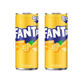 [본사직영] 환타 파인 250CAN 30입