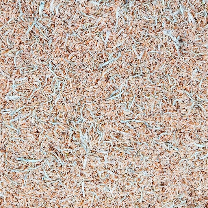 국내산 밥새우 500g 2팩