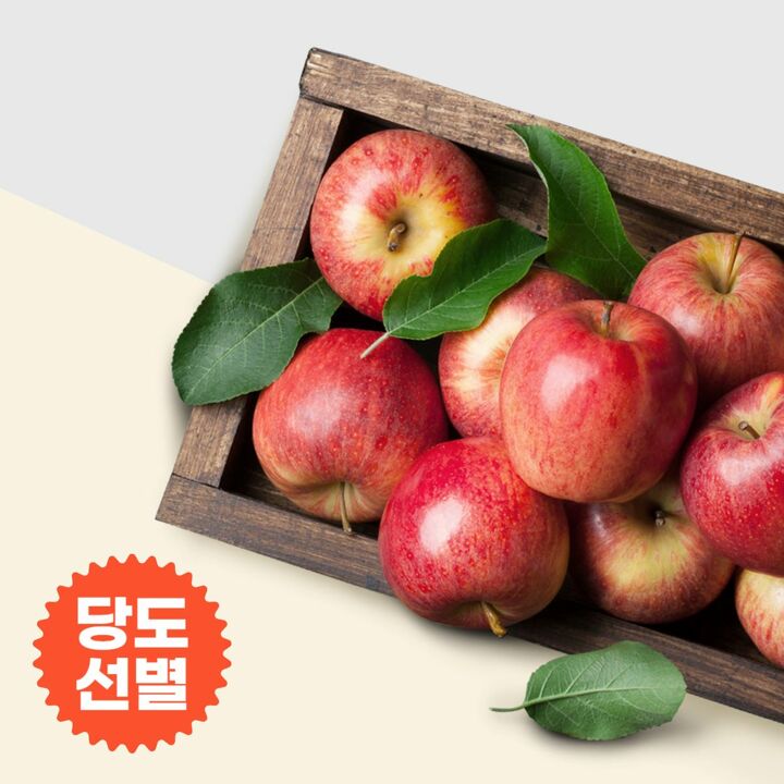 25년 햇부사 세척사과 3kg 13과