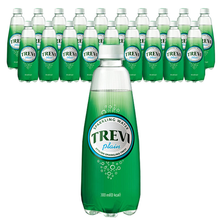 롯데 트레비 플레인 300ml 20PT