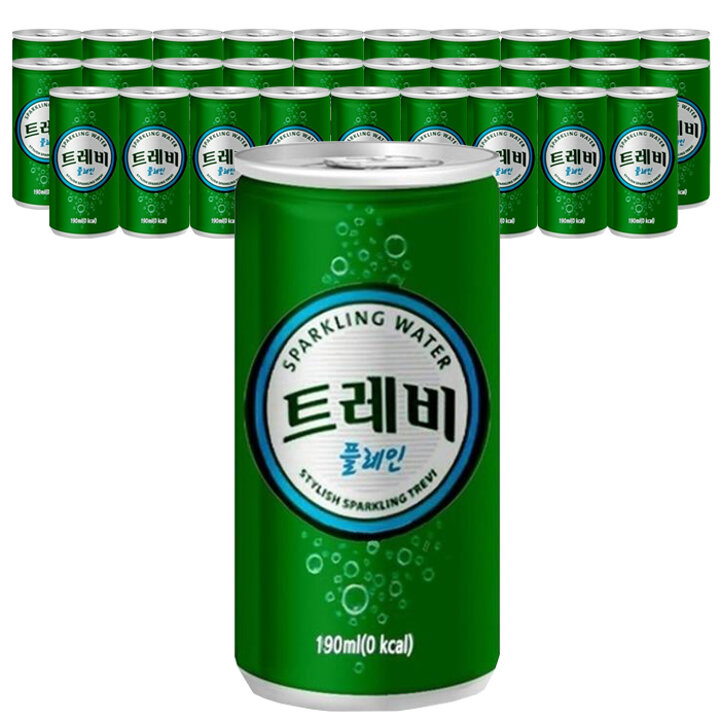 롯데 트레비 플레인 190ml 30캔