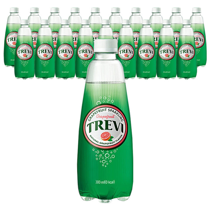 롯데 트레비 자몽 300ml 20PT
