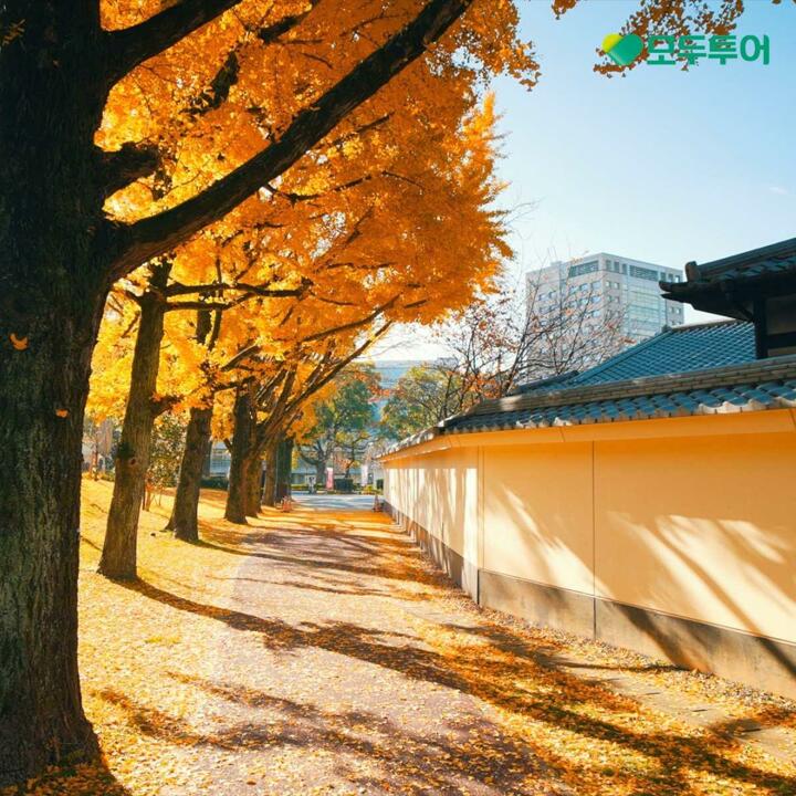 [*특집전]모두투어 시그니처 큐슈 3일/4일 항공+호텔+식사+관광 699천원부터!