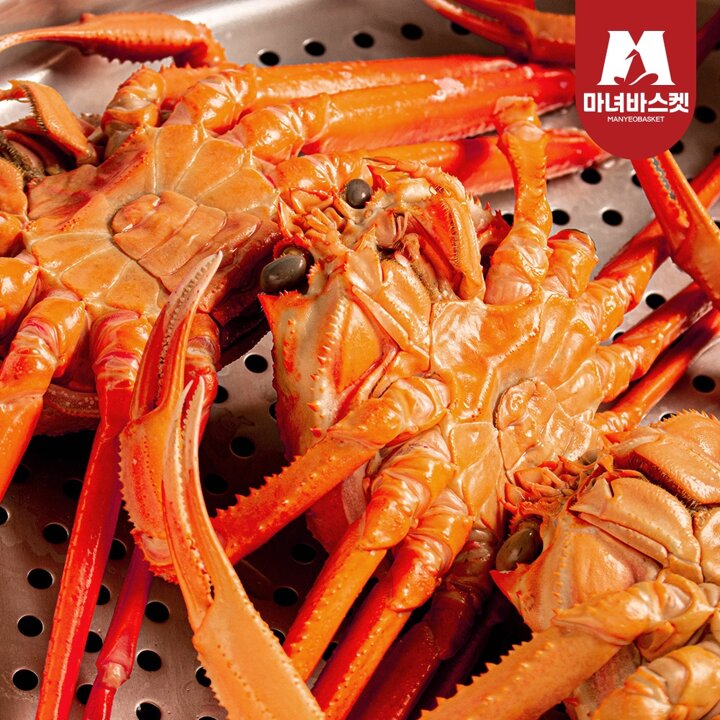 [마녀바스켓] 정품 생물 박달홍게(대) 2kg (4-5미 내외) 동해안 홍게