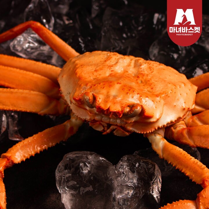 [마녀바스켓] 정품 생물 박달홍게(대) 2kg (4-5미 내외) 동해안 홍게